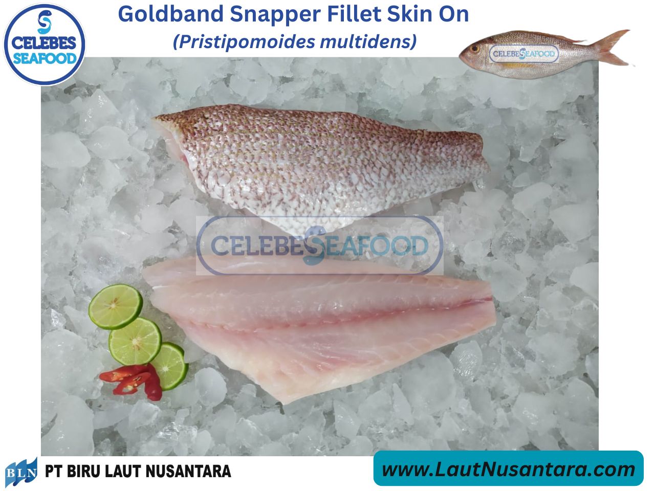 Goldband Snapper Fillet Skin On